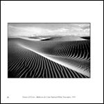 Dunes photo